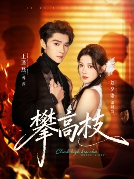 攀高枝封面图