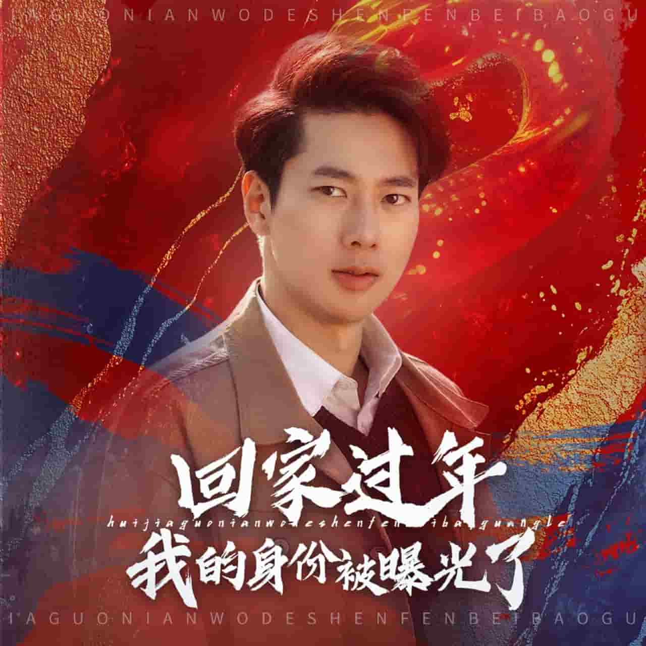 回家过年我的身份被曝光了封面图