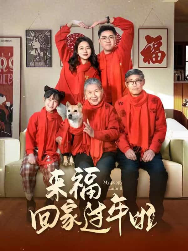 来福回家过年啦封面图