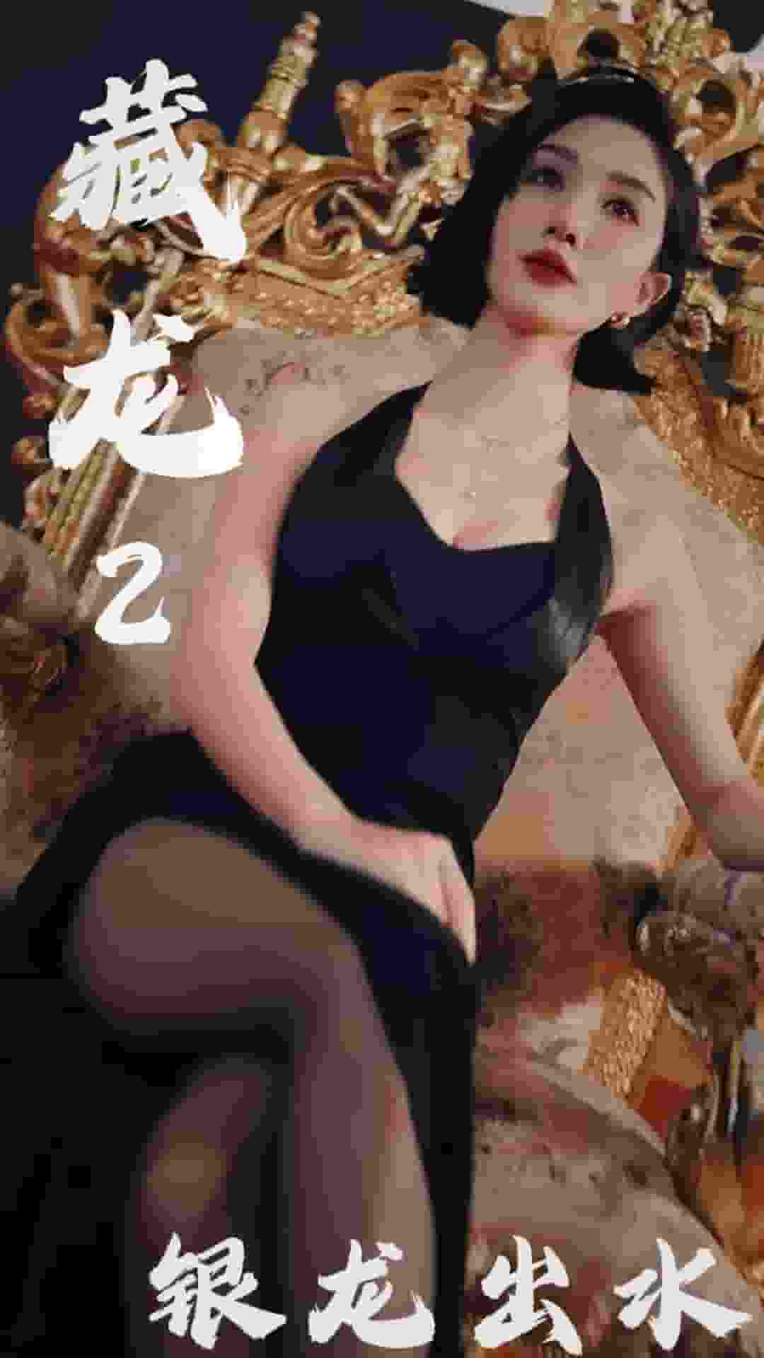 藏龙2银龙出水封面图