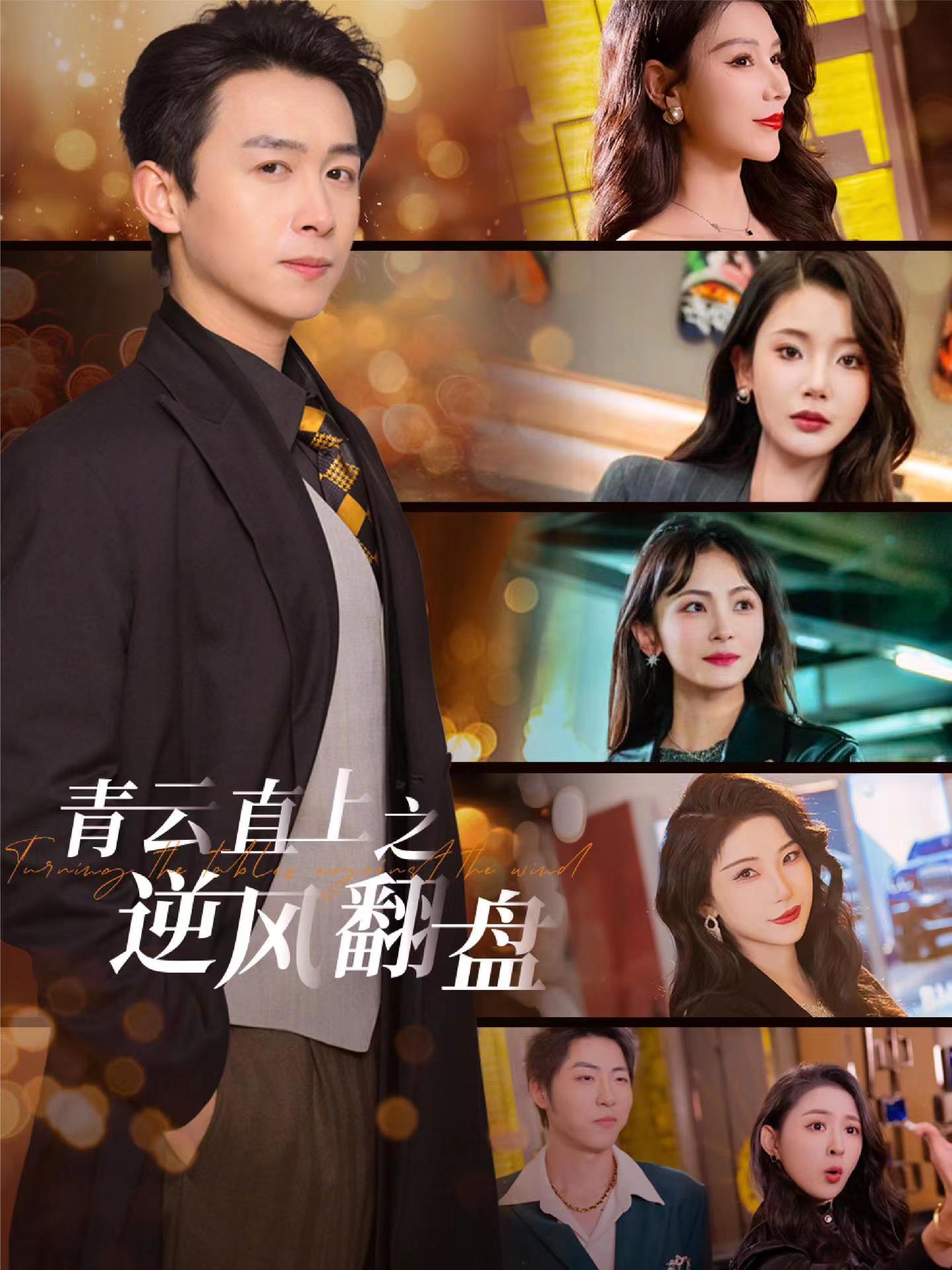 佳人扶我凌云志封面图