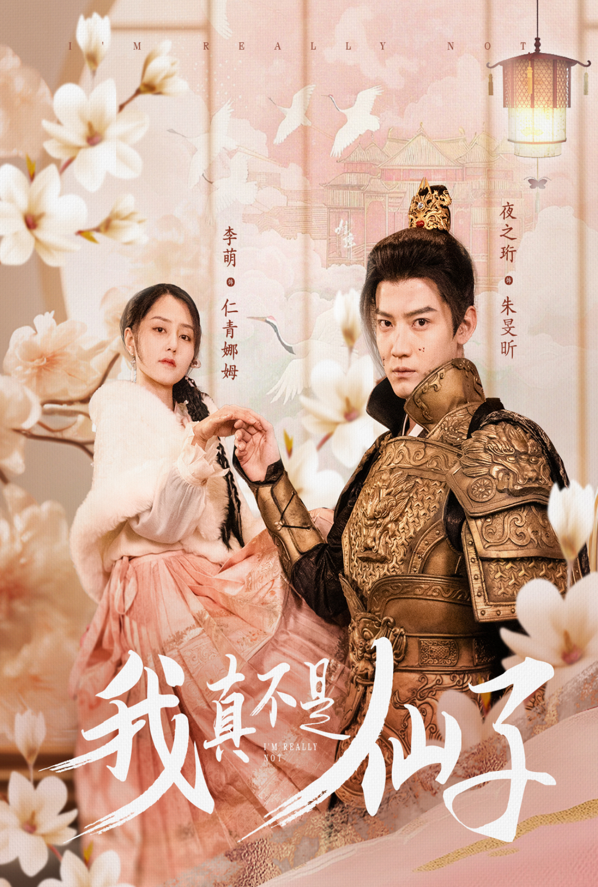 我真不是仙子封面图