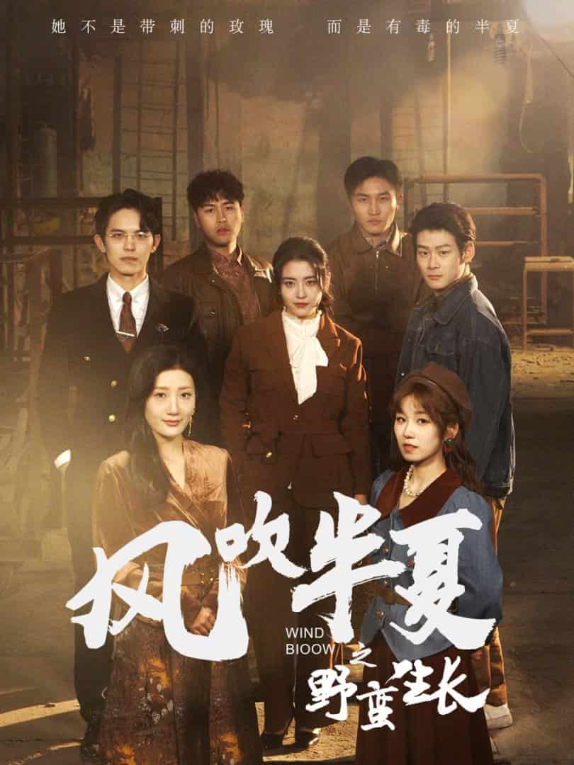 风吹半夏之野蛮生长封面图