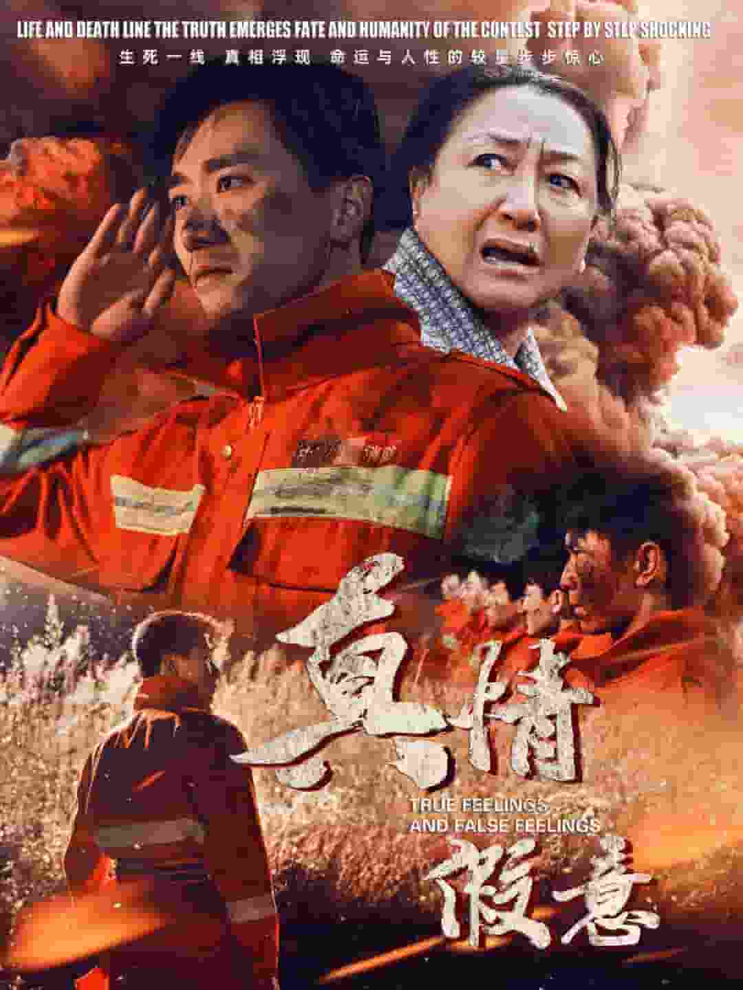 真情假意封面图