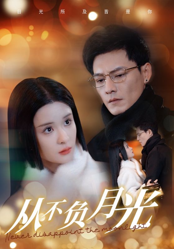 从不负月光封面图