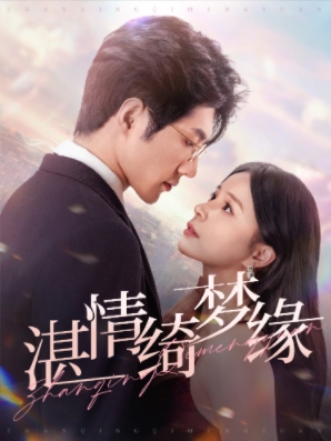湛情琦梦缘封面图