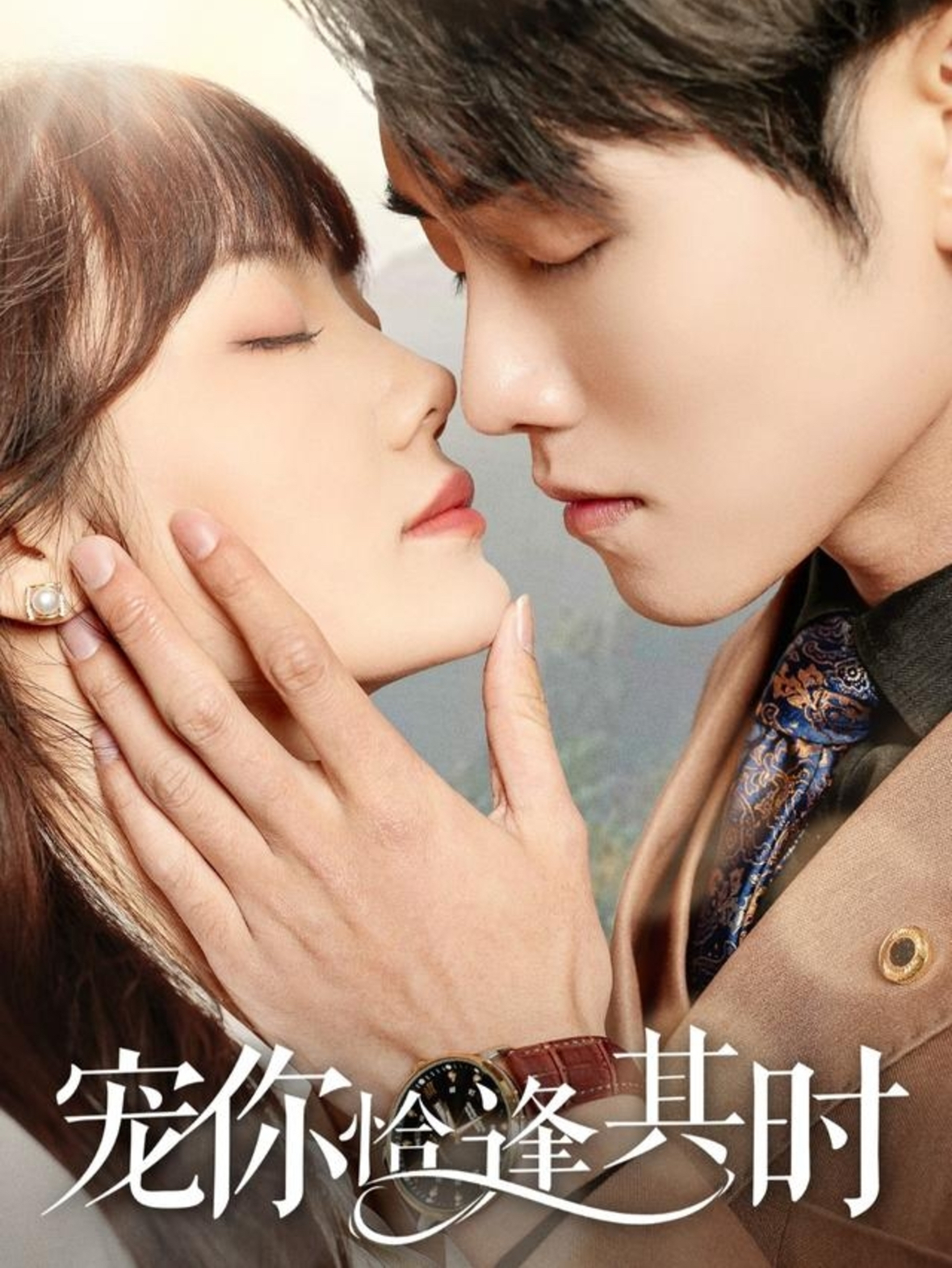 宠你恰逢其时封面图