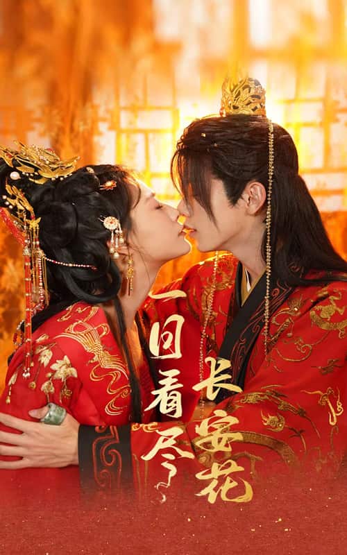 一日看尽长安花封面图