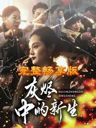 灰烬中的新生封面图