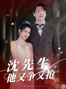 沈先生他又争又抢封面图