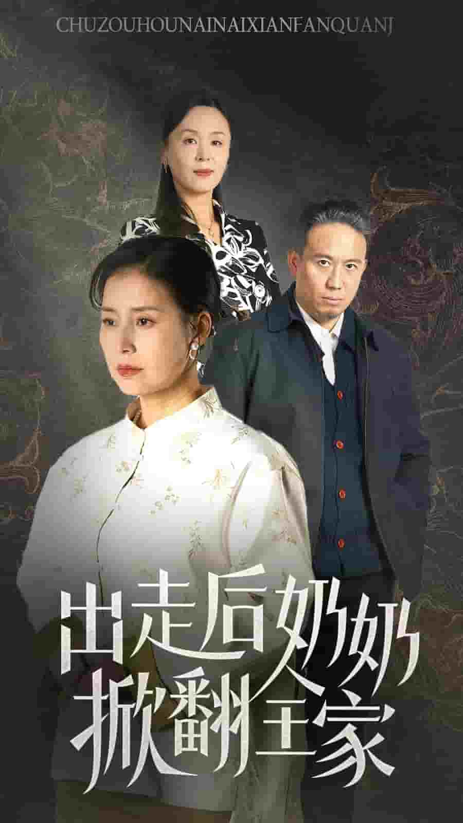 出走后奶奶掀翻全家封面图