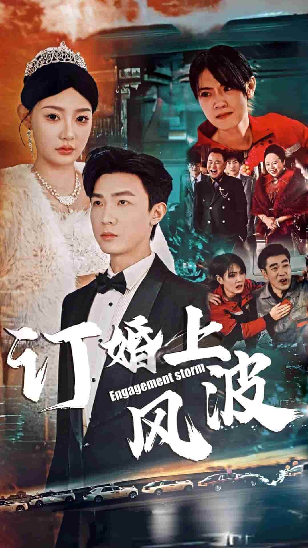 订婚上风波封面图