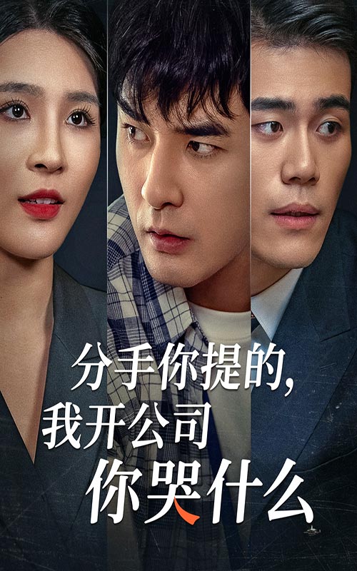 分手你提的，我开公司你哭什么封面图