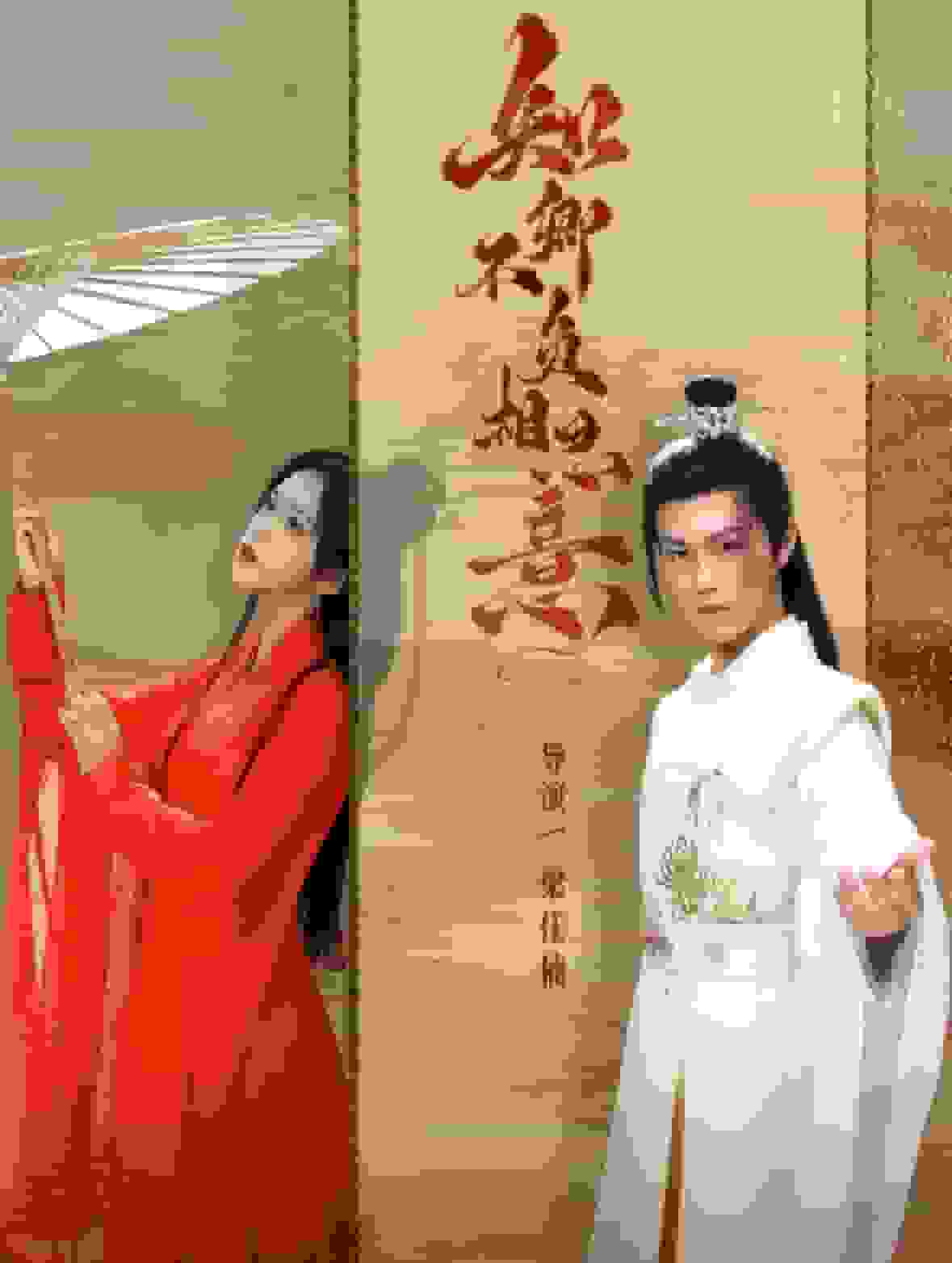 知卿不负相思意封面图