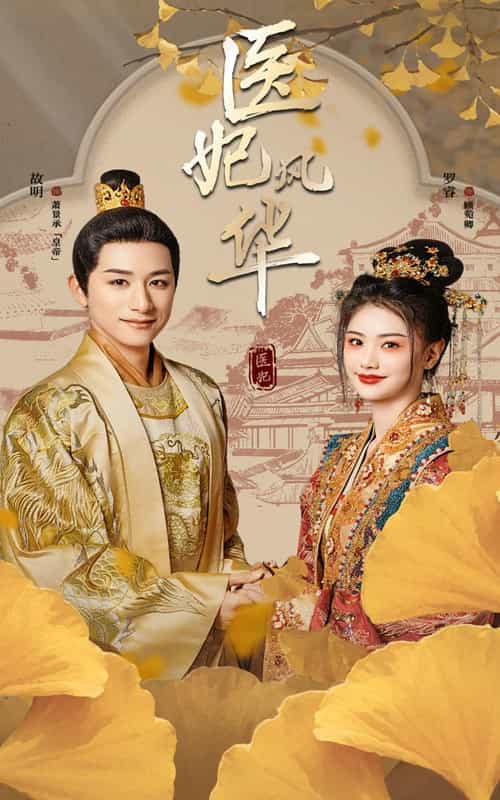 医妃风华封面图