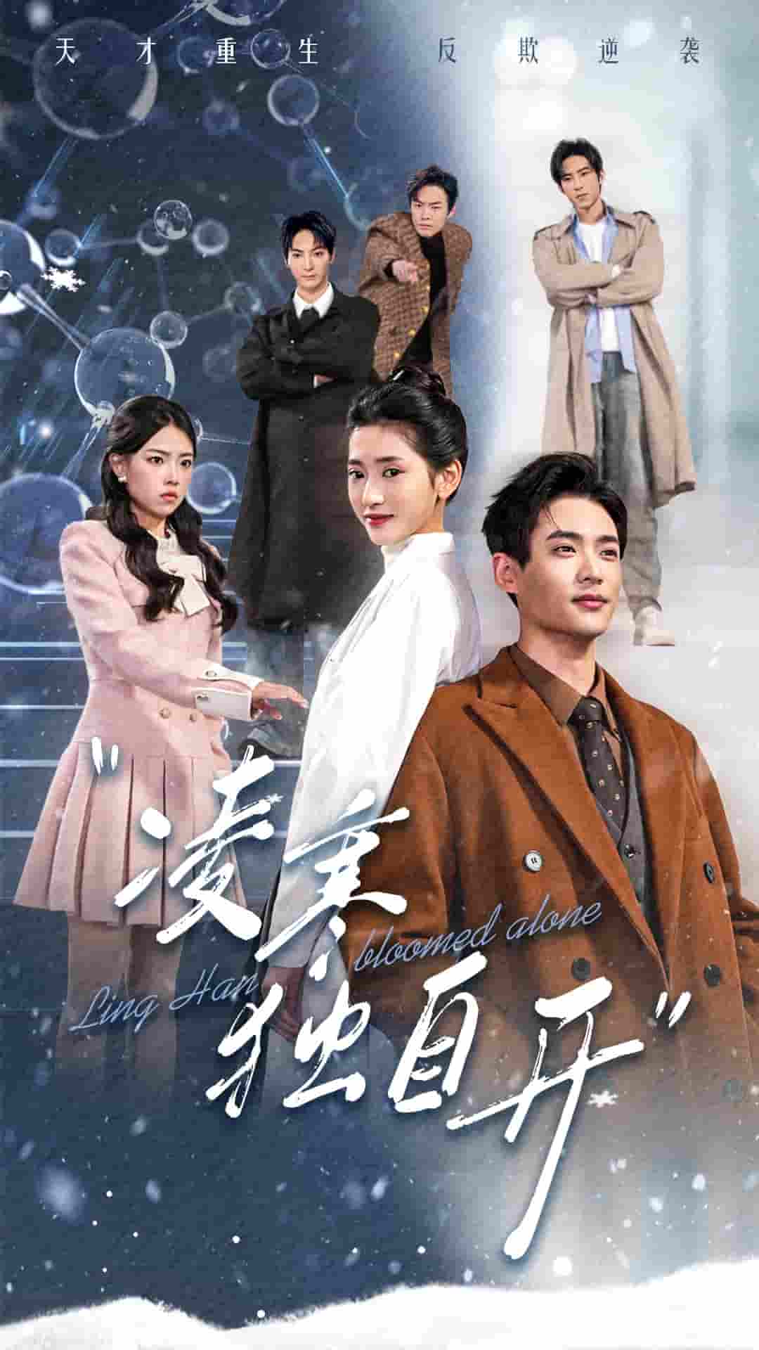 凌寒独自开封面图