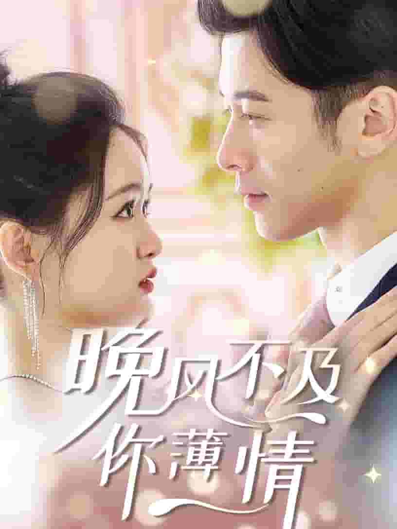 晚风不及你薄情封面图