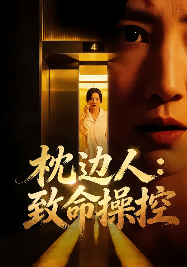 枕边人：致命操控封面图