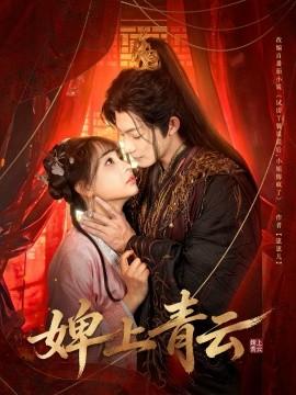 婢上青云封面图