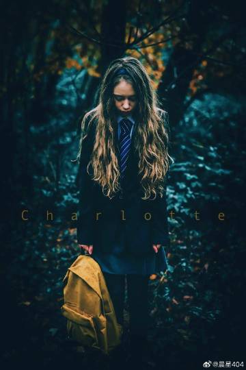 夏洛特封面图