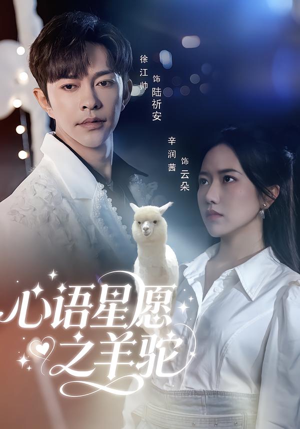 心语星愿之羊驼封面图