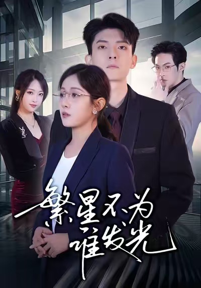 繁星不为谁发光封面图