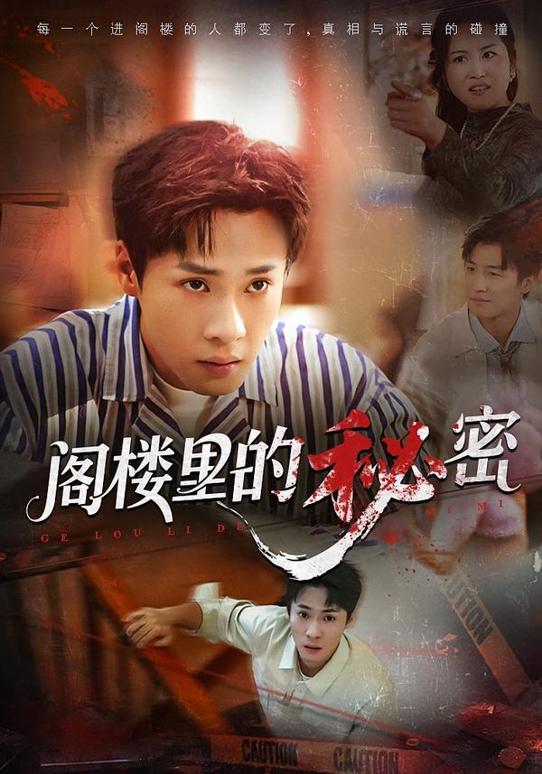 阁楼里的秘密封面图