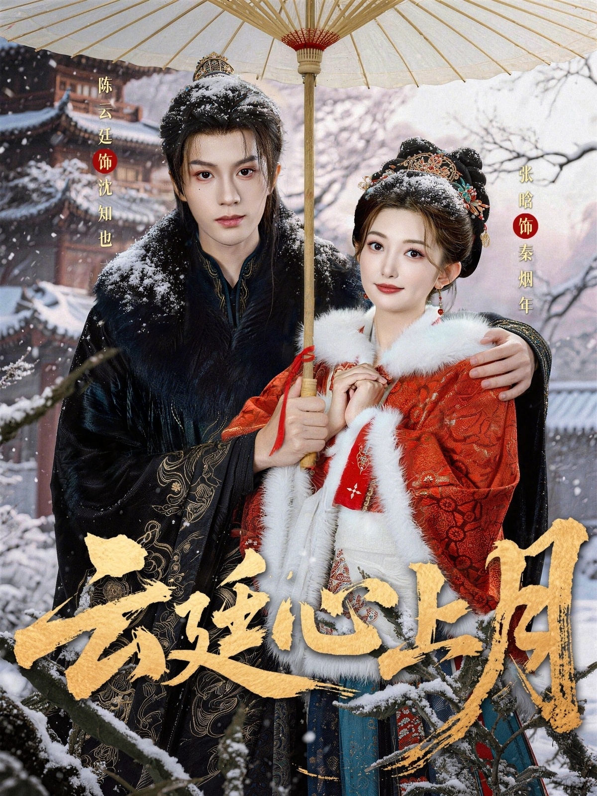 云廷心上月封面图