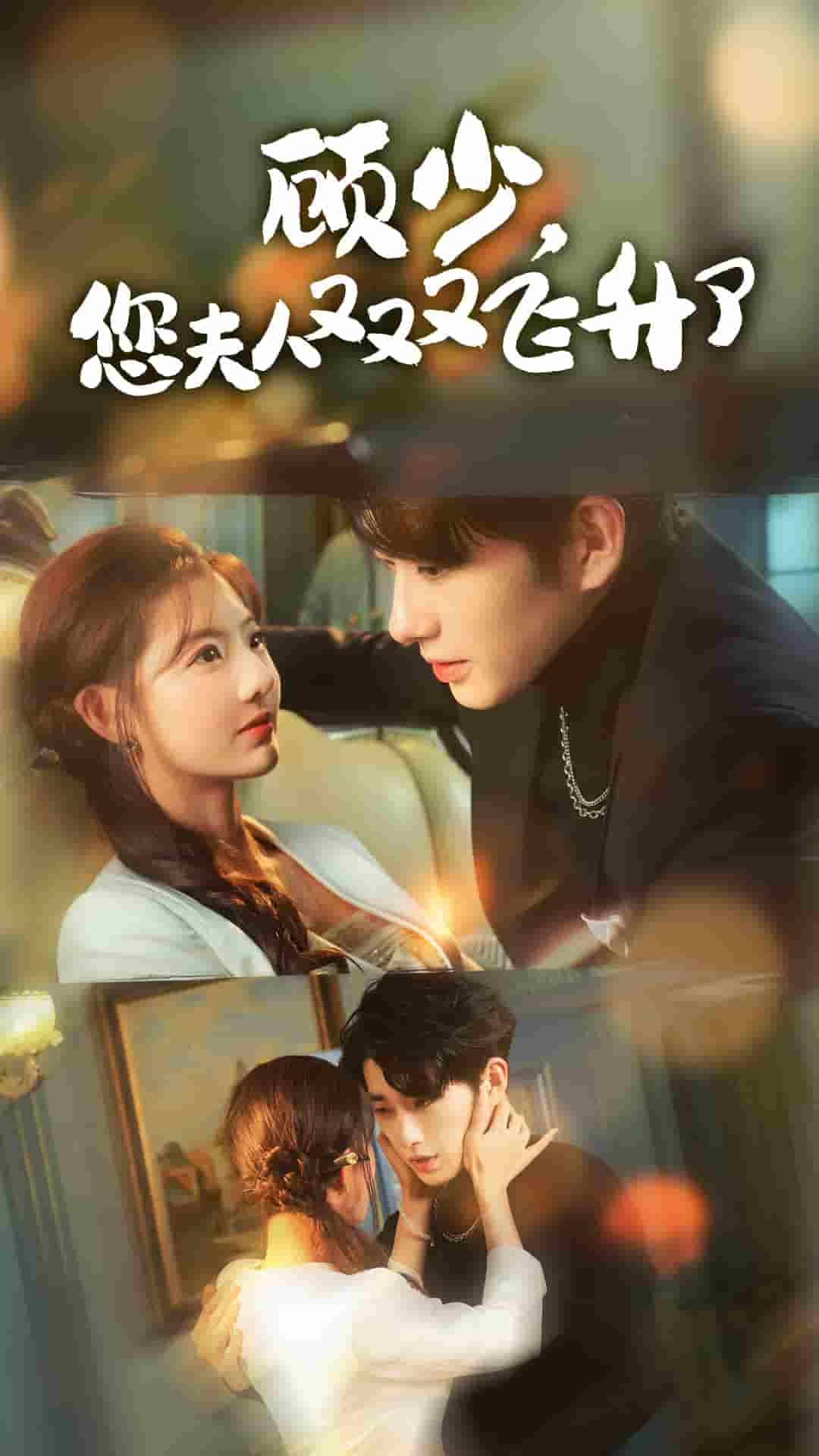 顾少您夫人又又又飞升了封面图