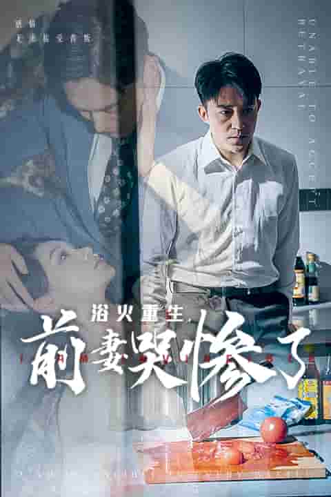 浴火重生前妻哭惨了封面图