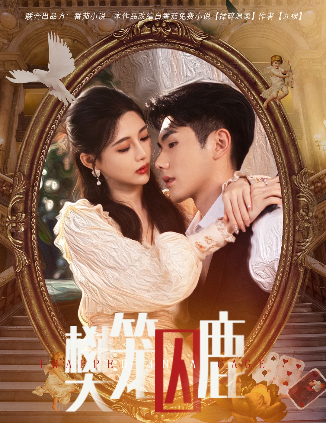 偏执大佬的金丝雀封面图