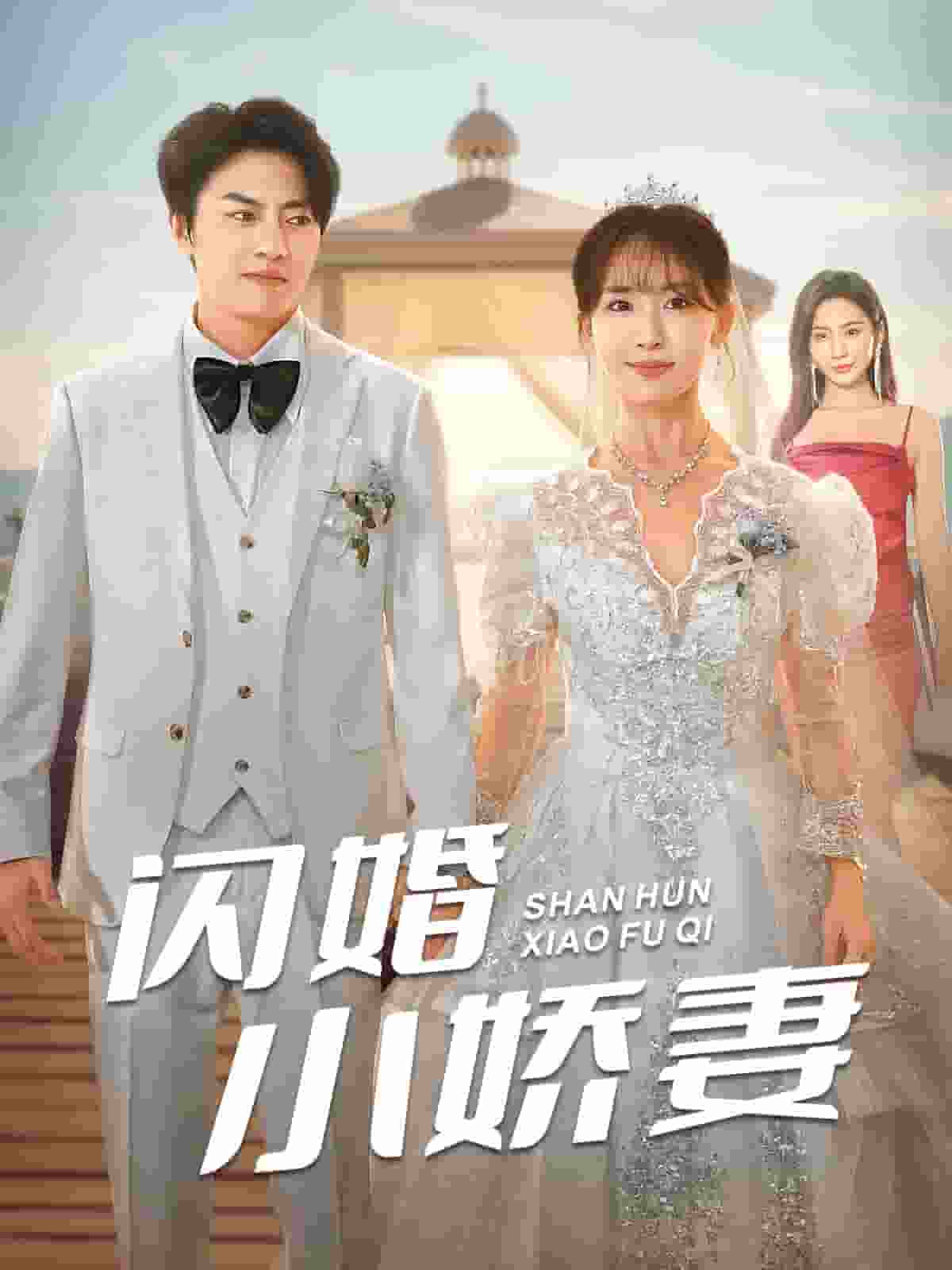 闪婚小娇妻封面图