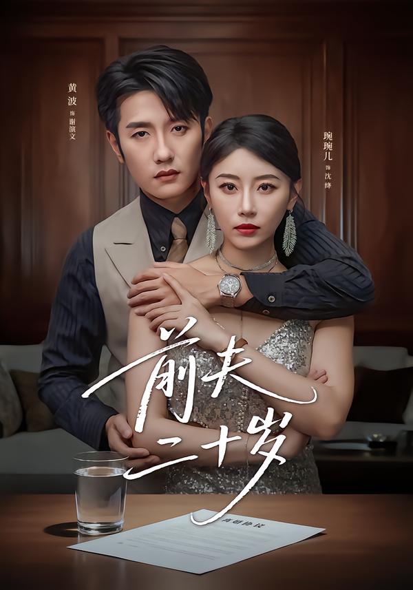 前夫二十岁封面图