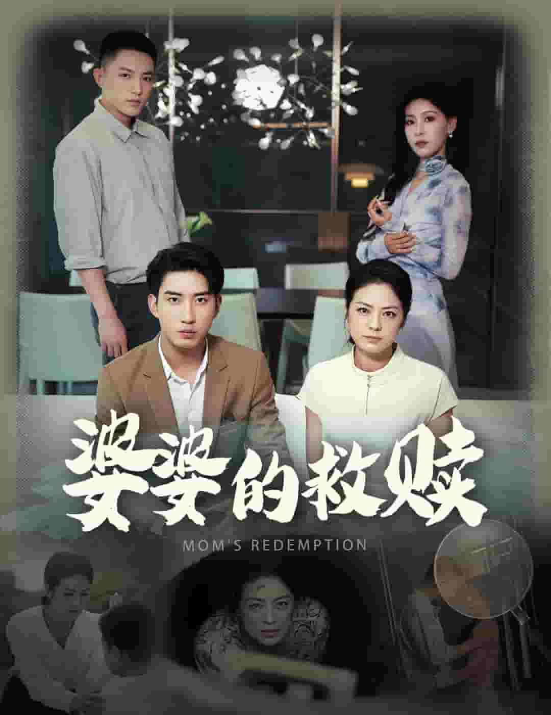 婆婆的救赎封面图