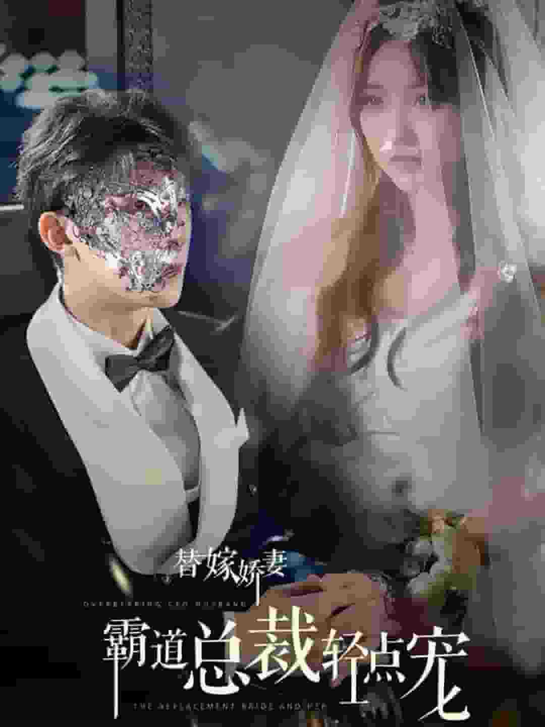 替嫁娇妻偏执总裁轻点宠封面图