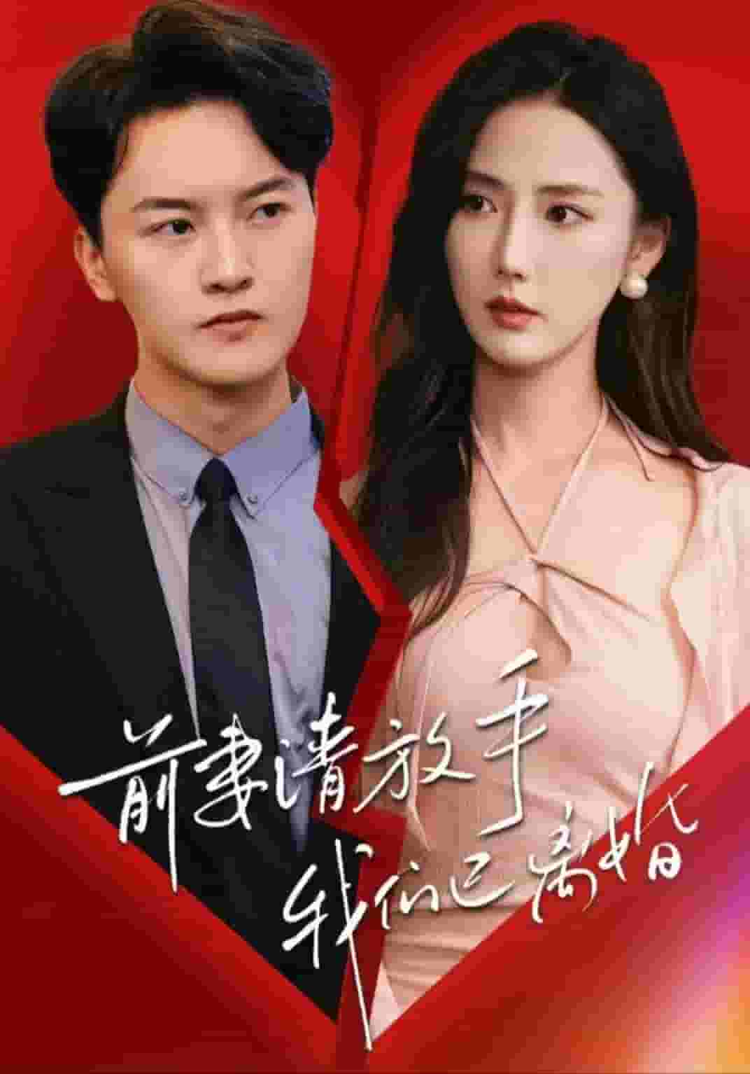 前妻请放手我们已离婚封面图