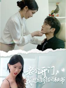 老公开门我是你新招的秘书封面图