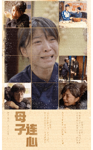 母子连心封面图