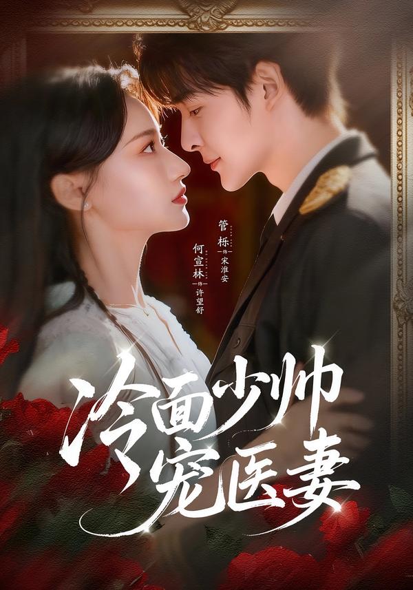 冷面少帅宠医妻封面图