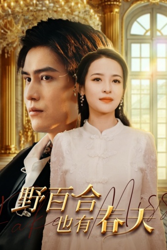 野百合也有春天 短封面图