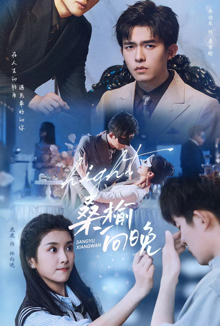 桑榆向晚封面图