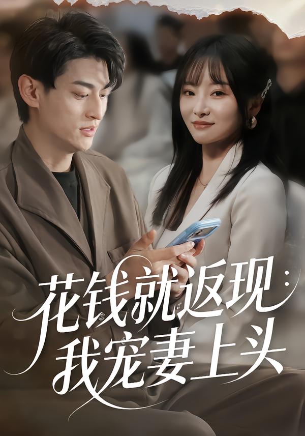 花钱就返现：我宠妻上头封面图