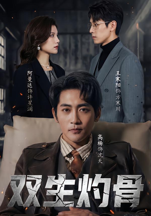 双生灼骨封面图