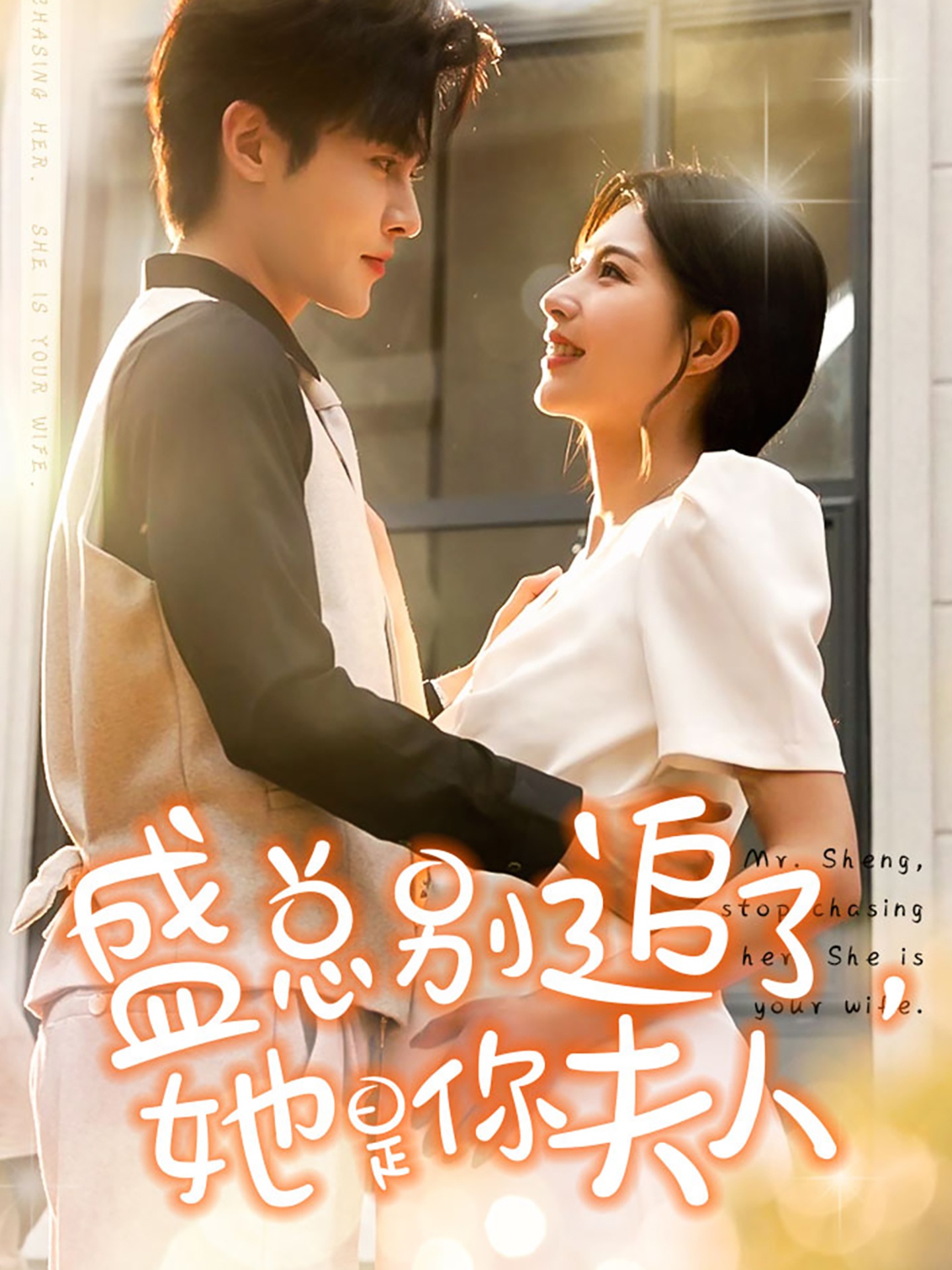 盛总别追了她是你夫人封面图