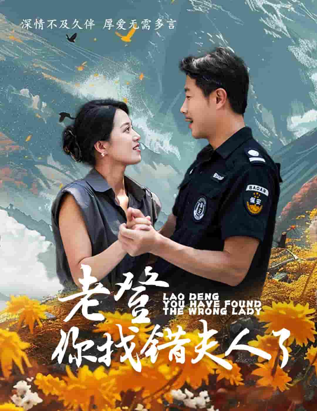 老登你找错夫人了封面图