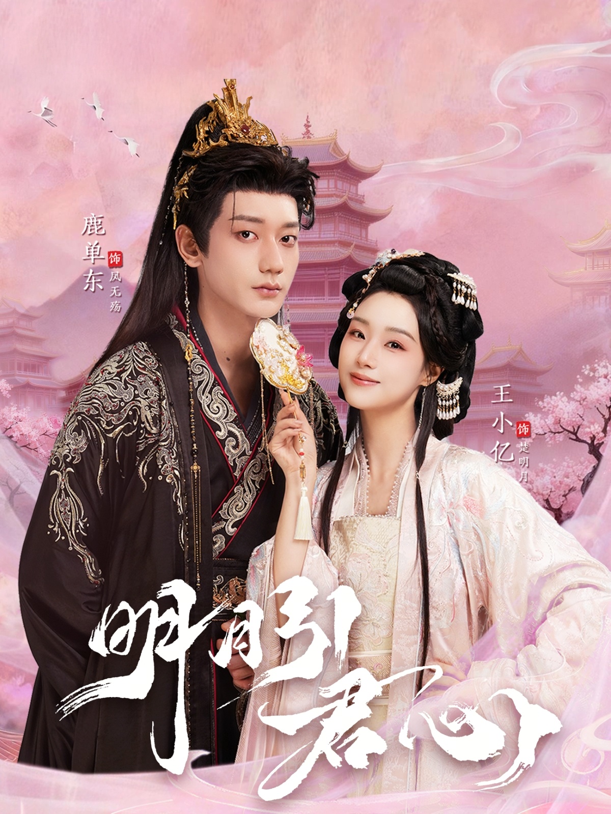 明月引君心封面图