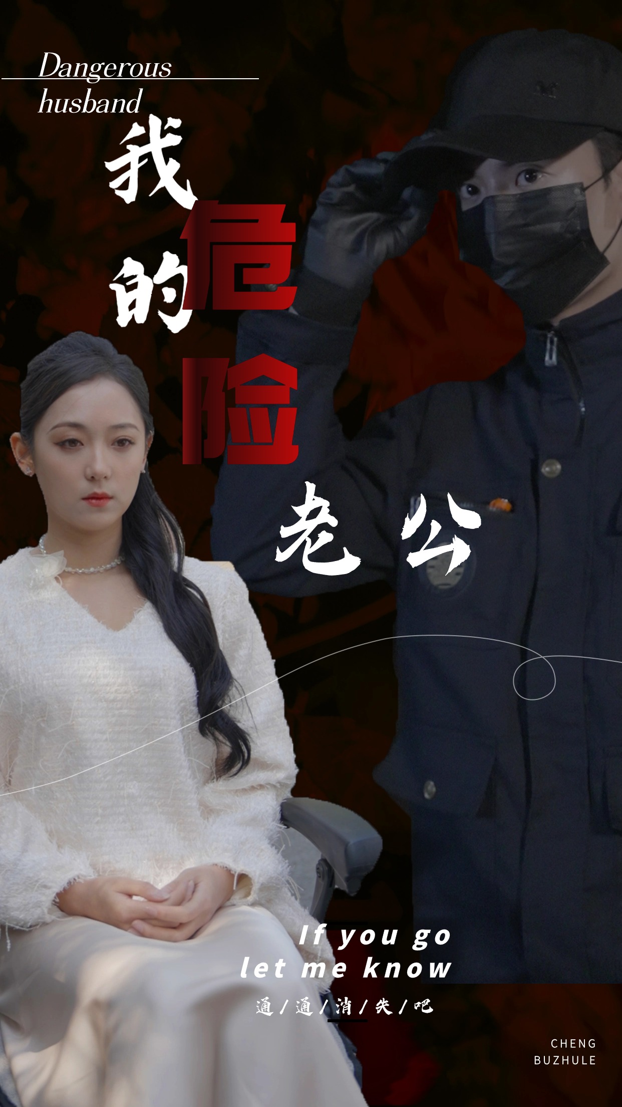 我的危险老公封面图