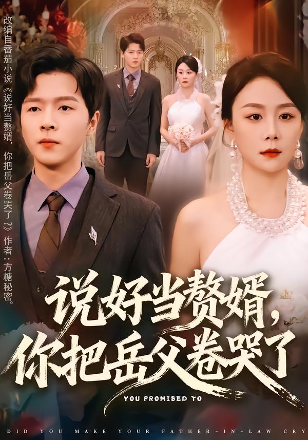 说好当赘婿，你把岳父卷哭了封面图