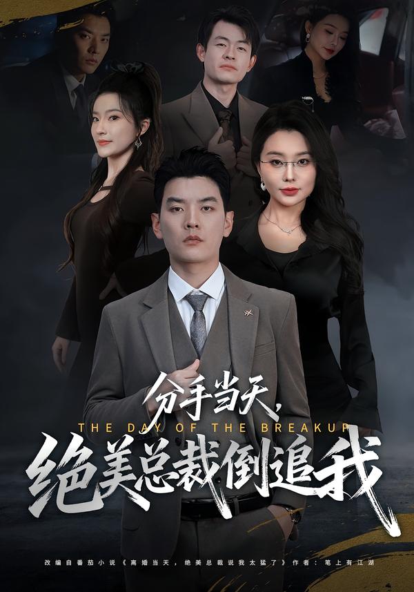 分手当天，绝美总裁倒追我封面图