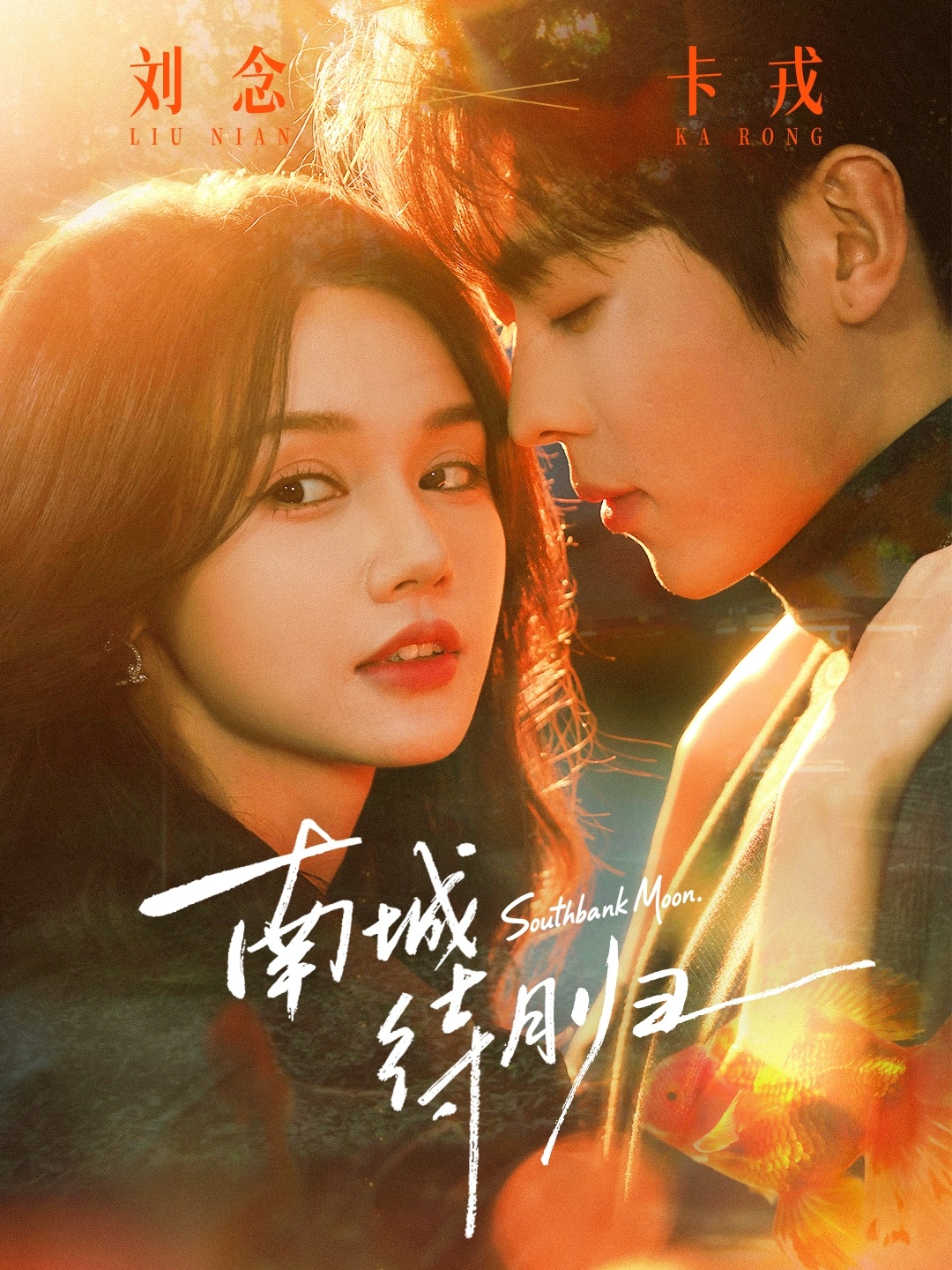 南城待月归封面图